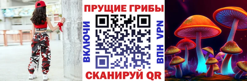 магазин  наркотиков  Нижние Серги  Галлюциногенные грибы MAGIC MUSHROOMS 